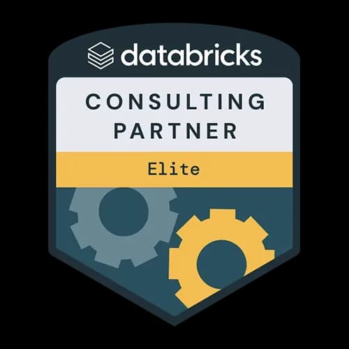 Databricks elite partner